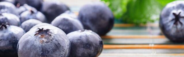 OVO SU TRI NAJZDRAVIJE NAMIRNICE NA SVETU! Nema organizma koga ova hrana ne može da preporodi!