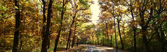 Jezero koje je izniklo iz bola: Na mestu masakra nastao je park nade