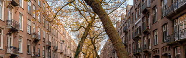 OBAVEŠTAJNA SLUŽBA OBJAVILA ZAGONETNU SLAGALICU Svi su pozvani da je reše, ko uspe dobiće "večnu slavu"