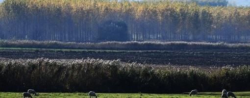 Svetski fond za prirodu obećao jačanje poštovanja ljudskih prava