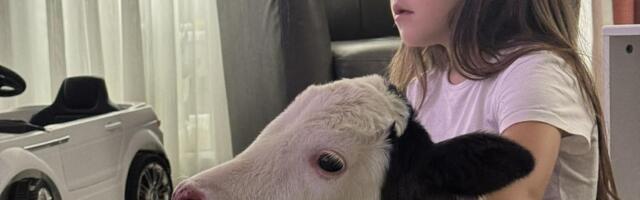 Najlapša slika iz doma Garovića: Telence sa decom gleda crtaće, sedmoro mališana oduševljeno novim drugarom