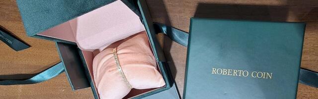 Carina: Sprečeno krijumčarenje novca i dragocenosti