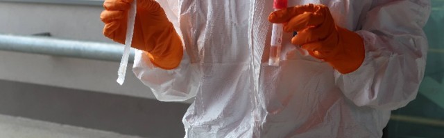 PCR o svom trošku: Lekari, 9.000 dinara na sunce (FOTO)