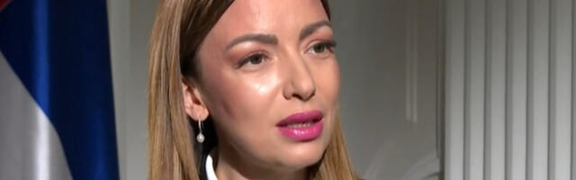 Месасровићева на састанку са кинеским привредницима из провинције Хабеи