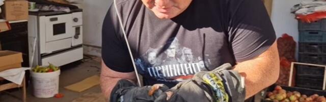 HOROR U ŠAHTI PRED USKRS: Radnici krenuli da priključe vodu, a unutra zatekli JEZIV PRIZOR! Vladica odmah izašao na teren! (VIDEO)