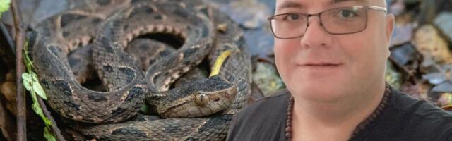 U Srbiji vreba OPASNA zmija! Vladica upozorava: Ujed izgleda specifično, jedan korak OBAVEZAN i spasava život