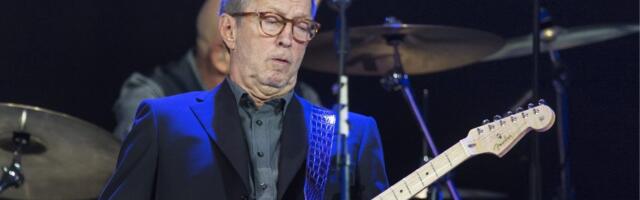 Poznatog pevača pogodili u grudi, on prekinuo koncert