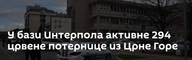 У бази Интерпола активне 294 црвене потернице из Црне Горе