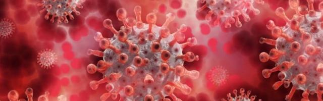 NESLAVNI KORONA REKORDI U CRNOJ GORI Šesti u Evropi po broju novih slučajeva, prvi od početka pandemije