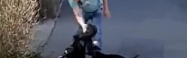 PRETUČENA ŽENA IZ ZEMUNA PRIZNALA Istina je! Koristim šoker zbog uličnih para