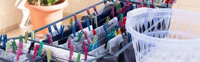 Nikada nemojte da sušite veš napolju! Svi hoće da ga što pre osuše, a ne slute šta mu rade i unose u kuću