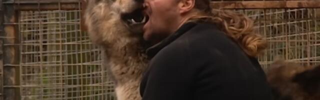 Čovek koji je kao ravnopravni član prihvaćen od strane čopora divljih vukova