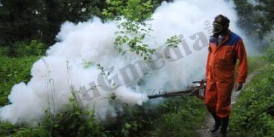 Četvrto suzbijanje komaraca u četvrtak i petak