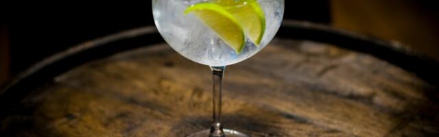 Džin tonik se smatra jednim od “najzdravijih” alkoholnih pića – i to kaže nauka