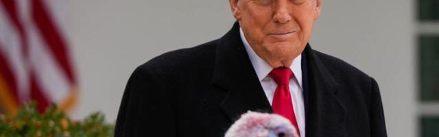 TRAMP OTKRIO PROBLEM EVROPSKIH LIDERA: Zovu da kontaktiram predsednika jedne zemlje kada oni ne mogu da razgovaraju sa njim!