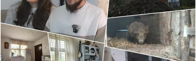 ĐORĐE I LJUBICA KUPILI KUĆU I 50 ARI ZA 2.000 EVRA! "Ovde recimo za 5.000-6.000 da kupiš, i jedno 4.000 da središ! Znači, do 10.000 evra, da bude bombona" VIDEO