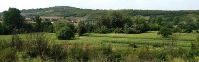 Šok otkriće u žbunju šokiralo meštane ovog srpskog grada: Neobičan fragment istorije zaintrigirao sve