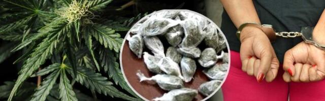 Pala sa pola kilograma marihuane: Uhapšena žena u Zrenjaninu