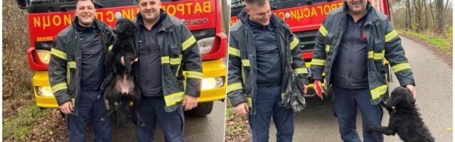 Pogledajte dramatičan snimak spasavanja! Vatrogasci izvukli psa iz bunara dubokog 20 metara: Nakon uspešne akcije nastala fotogarija koja obilazi Srbiju