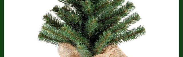 JKP Šumadija: Kupovinom jelki sa busenom dajemo svoj doprinos očuvanju životne sredine