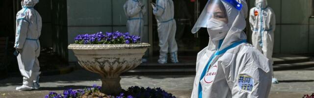 NOVI SOJ VIRUSA IZ SAD PREŠAO U EVROPU! Misteriozna "Cikada" se širi brzo, MUTIRA PRED NAŠIM OČIMA, sledi opasnost