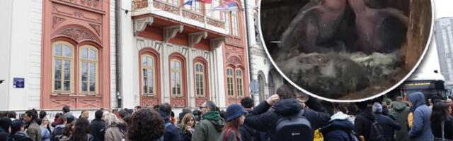 BLOKADERI JOŠ JEDNOM POKAZALI LICEMERJE I DVOSTRUKE ARŠINE! Brnabićeva: Puni su brige o ptićima, a napadaju i tuku građane i policijske službenike!