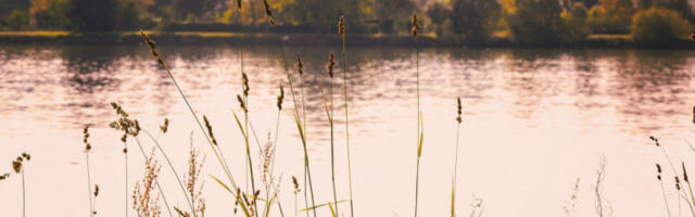 NADLEŽNI BROJE ŽRTVE STRAVIČNE NESREĆE: Prevrnuo se i zapalio rečni brod (VIDEO)