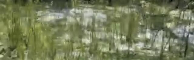 Grad koji je juče pao u selima između Rače i Smederavske Palanke i danas se nije otopio (VIDEO)