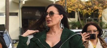 Ceca Ražnatović potkačila kolegu: "Ti si prizetko kao moj Veljko"