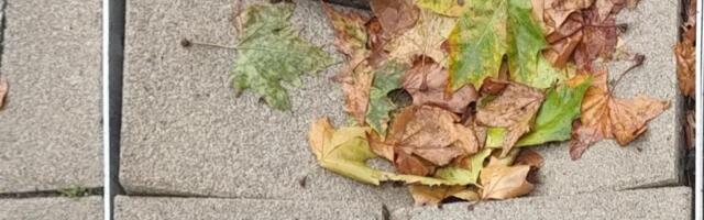 Raspadaju se pločice na delu Gradskog trga u Leskovcu