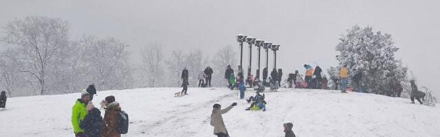 Bajkoviti prizori iz beogradskih parkova: Dok neki gunđaju zbog snega, oni mu se SVAKI PUT NAJVIŠE OBRADUJU