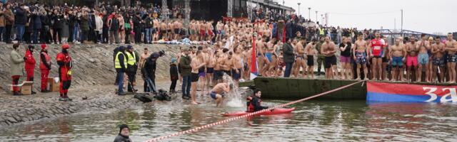 Počinju prijave za "Bogojavljensko plivanje 2026" u Zemunu i Batajnici