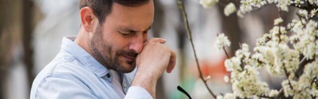 Rešite se suza i kijanja: Prirodni načini da ublažite simptome prolećne alergije