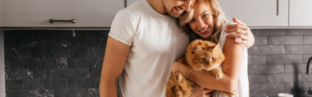 Mačke više komuniciraju sa muškarcima nego sa ženama: Naučnici objasnili o čemu je reč