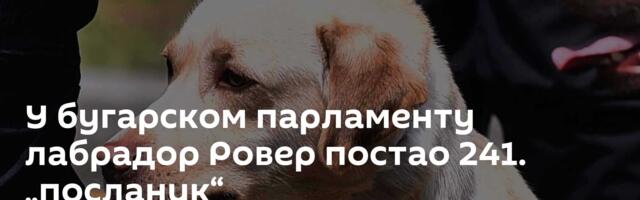 У бугарском парламенту лабрадор Ровер постао 241. „посланик“
