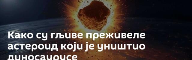 Како су гљиве преживеле астероид који је уништио диносаурусе