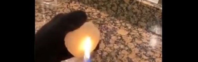 Ljudi misle da je sneg u SAD-u delo vlade, na TikTok-u pokušavaju da dokažu da je lažan!