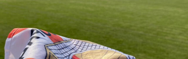 PODELA BODOVA U ARNAJEVU: Bilo je šansi za promenu rezultata, ali golmani su bili na visini zadatka!