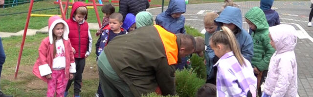 Podeljeno 500 sadnica bora, deca u vrtiću sadila tuje: „Srbijašume“ obeležilo 34 godine rada (VIDEO)