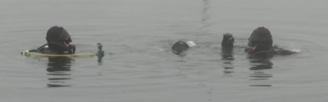 LJUDI NA ZAPADNOJ MORAVI PRIMETILI ZASTRAŠUJUĆI PRIZOR! Na samo par metara od njih usnimljeno nešto nesvakidašnje! "Pominju se težine i do 20 kilograma" (FOTO)