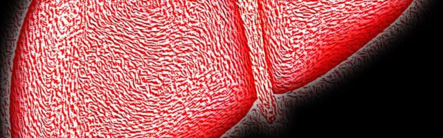 Naučnici istražuju da li bi čestice plastike mogle biti povezane sa značajnim porastom oboljenja jetre