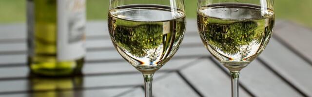 Humanitarna degustacija vina u petak u TONS-u