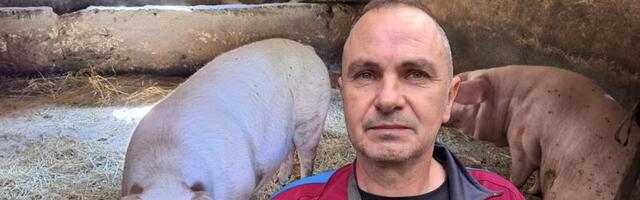 "Udarao sam je i sipao joj jod na glavu": Milovan iz Aleksinca o napadu svinje koja ga je ujela za genitalije