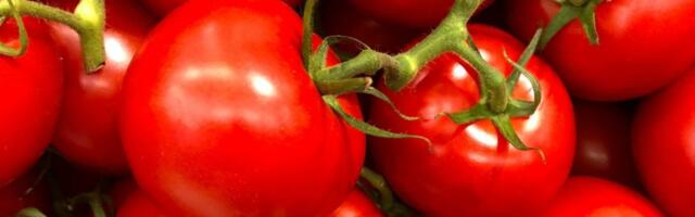 Opasan pesticid u paradajzu: Hitno povlačenje sa tržišta