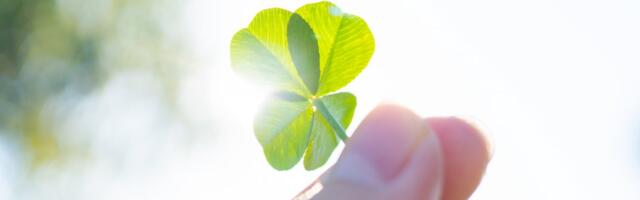 Detelina sa četiri lista nije slučajnost: Evo zašto je postala simbol sreće