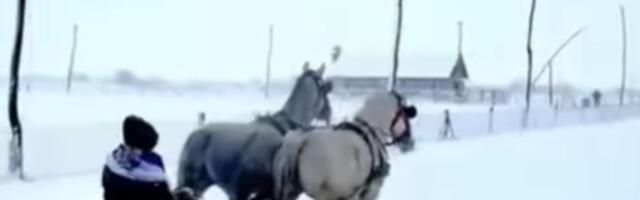 Nestvarni prizori iz Donjeg Srema kao iz čuvene pesme Zvonka Bogdana: Tu su prvi sneg, zaprega i dva konja...
