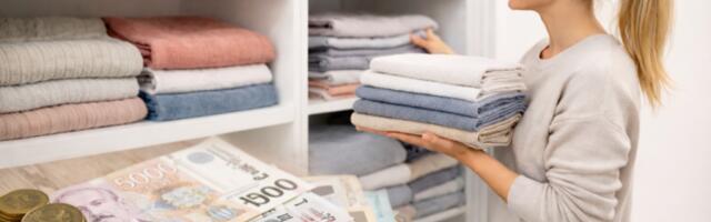 OD 400 DO 1.000 DINARA PO SATU! Žene u Srbiji plaćaju za posao koji svakodnevno radite u kući - MOŽE LEPO DA SE ZARADI!