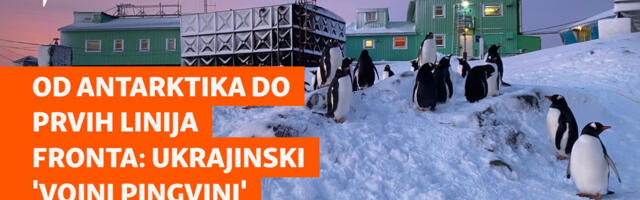 Od Antarktika do prvih linija fronta: Ukrajinski 'vojni pingvini'