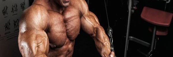 Bodibilding trening za GRUDI