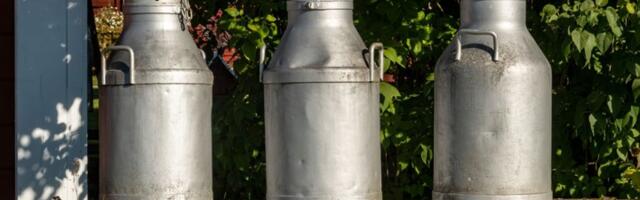 Silosi puni mleka u prahu, farmeri na ivici: Gde su završile subvencije?